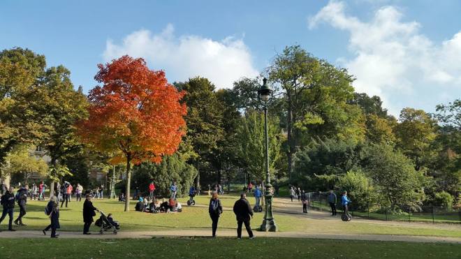 14681715_10154810509979411_3639448706086408854_n