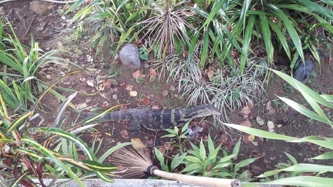 20171028_071828_resized