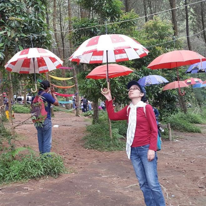 27581657_156845421687003_2593393324538724352_n