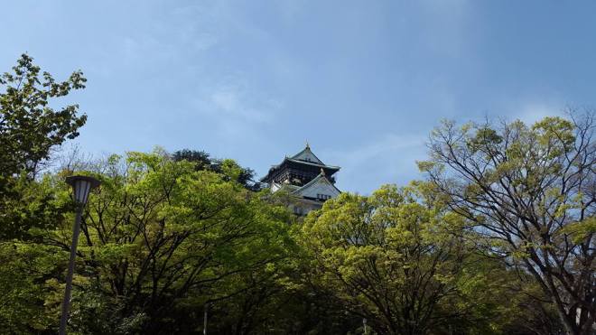 30738180_10156662337094411_5843932657003528192_n