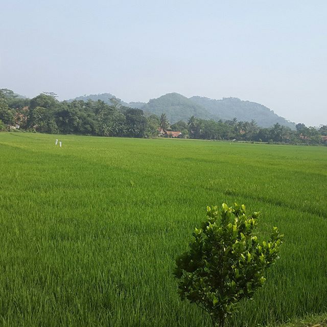 32881257_223137391606507_2944202598258835456_n