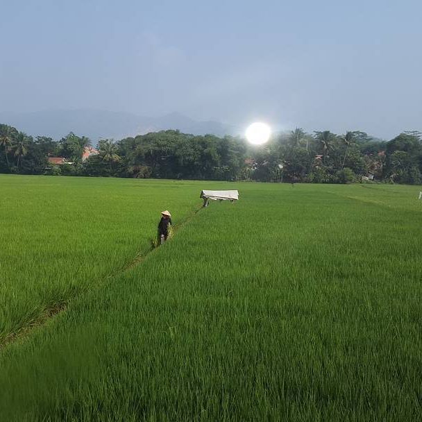 33165005_199148944065442_1843973315807412224_n