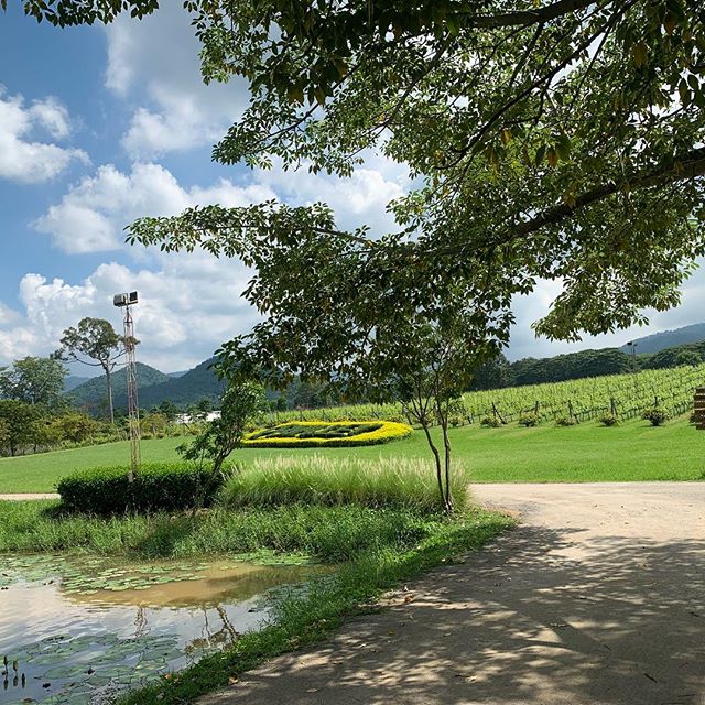 70936671_144302830134915_7180938055404590251_n