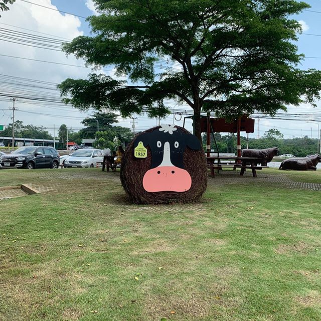 71152846_2790077737671287_8287295481638261685_n