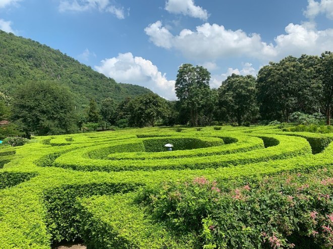 71893702_942602892770484_8538488799237891303_n(1)