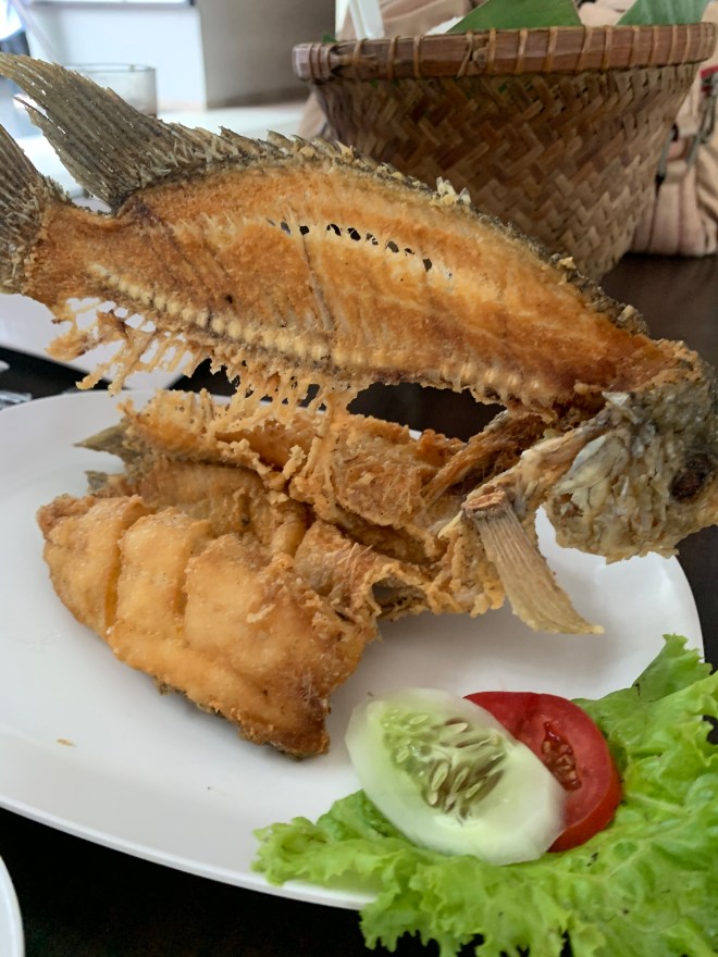 310CC0B3-2B5E-428C-8A87-4D3A43D720CF