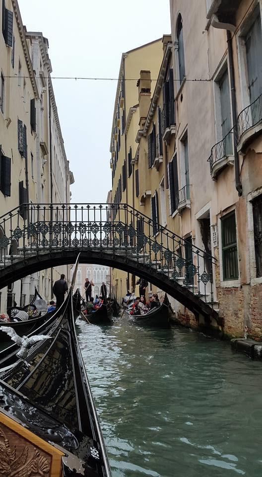 70774DD9-C12E-484F-9662-8E46B5CCA48A